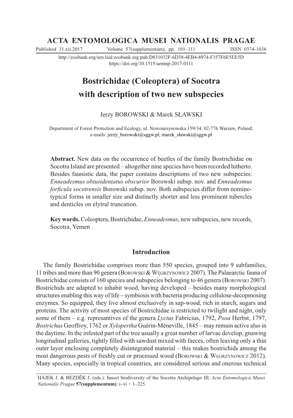 Bostrichidae (Coleoptera) of Socotra with Description of Two New Subspecies