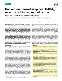 Hooked on Benzodiazepines: GABAA Receptor Subtypes and Addiction