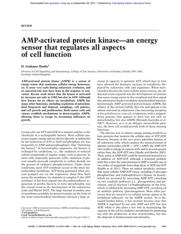AMP-Activated Protein Kinase—An Energy Sensor That Regulates All Aspects of Cell Function
