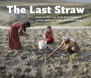 Food Security in the Hindu Kush Himalayas and the Additional Burden of Climate Change