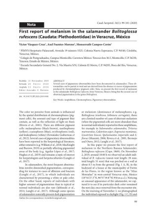 First Report of Melanism in the Salamander Bolitoglossa Rufescens (Caudata: Plethodontidae) in Veracruz, México