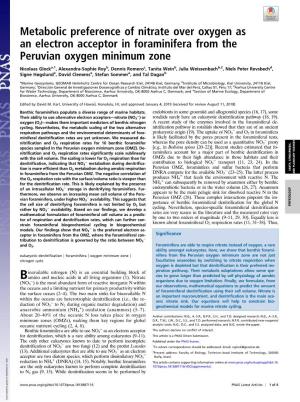Metabolic Preference of Nitrate Over Oxygen As an Electron Acceptor in Foraminifera from the Peruvian Oxygen Minimum Zone