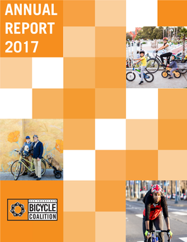 Annual Report 2017