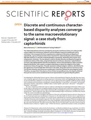 Discrete and Continuous Character-Based Disparity Analyses