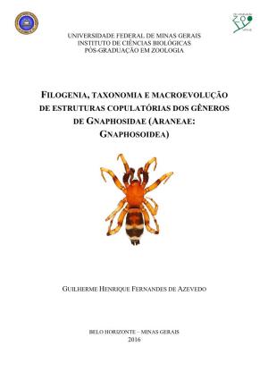 Universidade Federal De Minas Gerais Instituto De Ciências Biológicas Pós-Graduação Em Zoologia