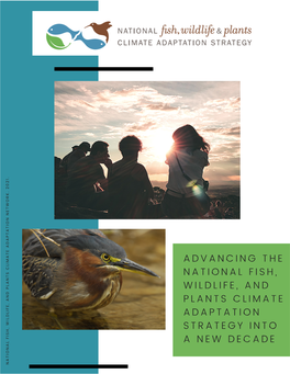Advancing the National Fish, Wildlife, and Plants Climate Adaptation Strategy Into a New Decade
