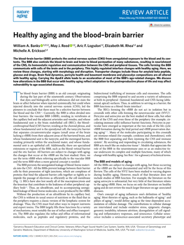 Healthy Aging and the Blood–Brain Barrier