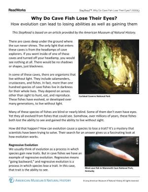 Why Do Cave Fish Lose Their Eyes? How Evolution Can Lead to Losing Abilities As Well As Gaining Them