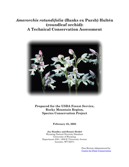 Amerorchis Rotundifolia (Banks Ex Pursh) Hultén (Roundleaf Orchid): a Technical Conservation Assessment