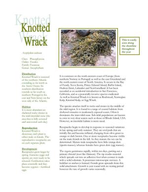 Ascophyllum Distribution Knotted Wrack Is