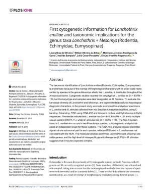 First Cytogenetic Information for Lonchothrix Emiliae and Taxonomic Implications for the Genus Taxa Lonchothrix + Mesomys (Rodentia, Echimyidae, Eumysopinae)