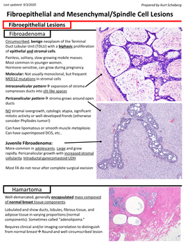 Fibroepithelial and Spindle Cell Lesions of the Breast