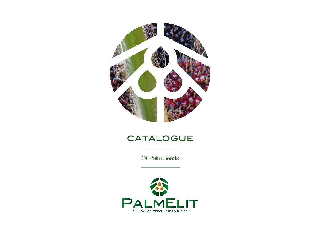 Catalogue-Palmelit-Oil-Palm-Seeds