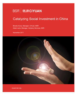 Catalyzing Social Investment in China