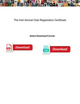 The Irish Kennel Club Registration Certificate Rude