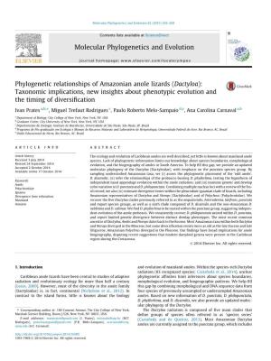 Phylogenetic Relationships of Amazonian Anole Lizards (Dactyloa