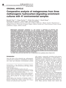 Comparative Analysis of Metagenomes from Three Methanogenic Hydrocarbon-Degrading Enrichment Cultures with 41 Environmental Samples