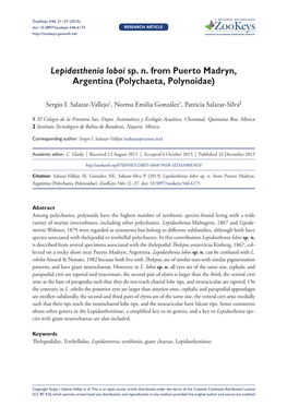 Lepidasthenia Loboi Sp. N. from Puerto Madryn, Argentina (Polychaeta, Polynoidae)