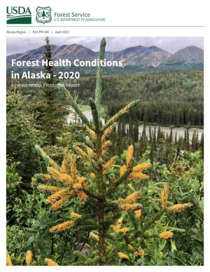 Forest Health Conditions in Alaska 2020