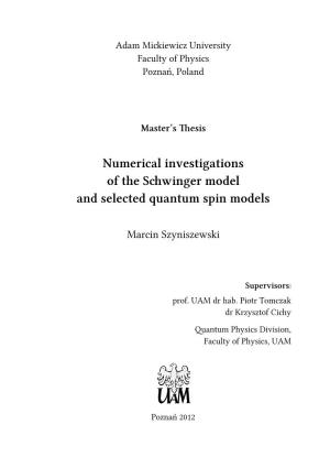 Numerical Investigations of the Schwinger Model and Selected Quantum Spin Models