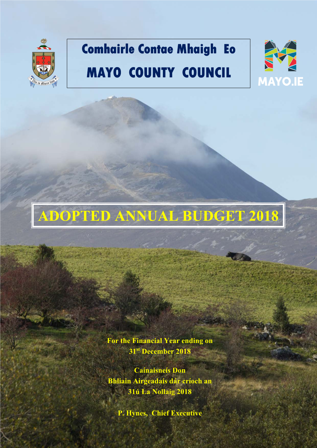 23/04/2020 Adopted Annual Budget 2018