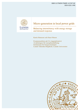 Micro-Generation in Local Power Grids
