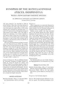Synopsis of the Bathylaconidae (Pisces, Isospondyli) with a New Eastern Pacific Species