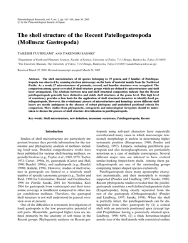 The Shell Structure of the Recent Patellogastropoda (Mollusca: Gastropoda)