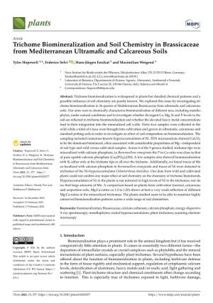 Trichome Biomineralization and Soil Chemistry in Brassicaceae from Mediterranean Ultramafic and Calcareous Soils