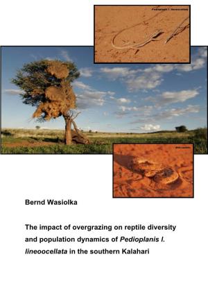 The Impact of Overgrazing on Reptile Diversity and Population Dynamics of Pedioplanis L