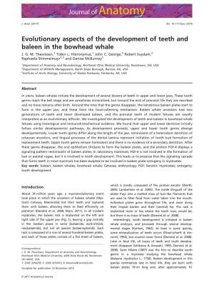 Evolutionary Aspects of the Development of Teeth and Baleen in the Bowhead Whale J