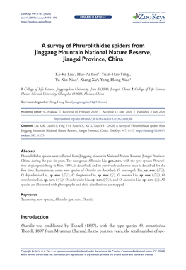 A Survey of Phrurolithidae Spiders from Jinggang Mountain National Nature Reserve, Jiangxi Province, China