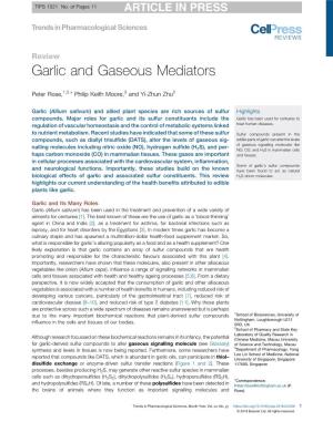 Garlic and Gaseous Mediators