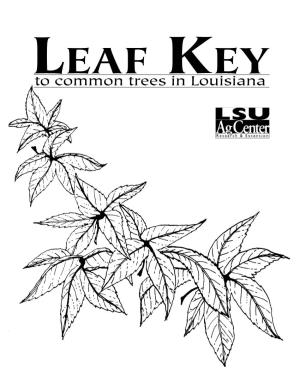 LEAF KEY to Common Trees in Louisiana