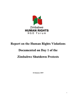 Report on the Human Rights Violations Documented on Day 1 Of