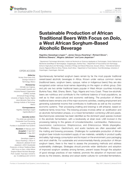 Sustainable Production of African Traditional Beers with Focus on Dolo, a West African Sorghum-Based Alcoholic Beverage