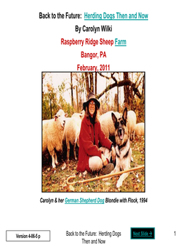 Herding Dogs Then and Now by Carolyn Wilki Raspberry Ridge Sheep Farm Bangor, PA February, 2011