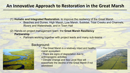 An Innovative Approach to Restoration in the Great Marsh