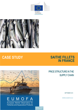 Case Study in France Saithe Fillets