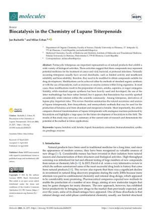 Biocatalysis in the Chemistry of Lupane Triterpenoids