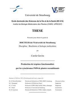 Production De Terpènes Fonctionnalisés Par Les Cytochromes P450 De Plantes Recombinants