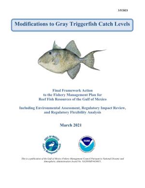 Modifications to Gray Triggerfish Catch Levels