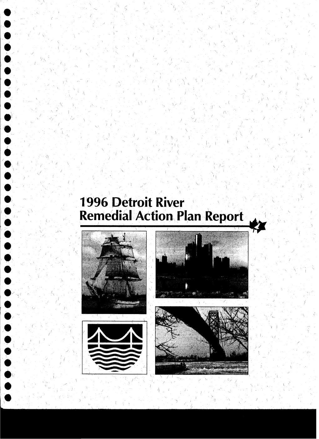 1996 Detroit River Remedial Action Plan Report Should Be Imple- Mented in a Manner Which Considers Environmental Justice Concerns Through out the Area of Concern