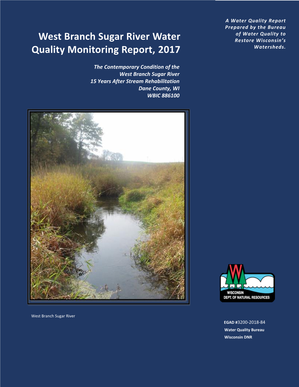 The West Branch Sugar River Year 2017 Assessment Report