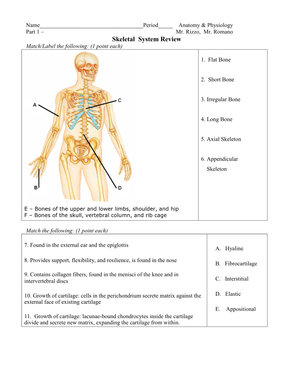 Anatomy, Skeletal System Review.Pdf