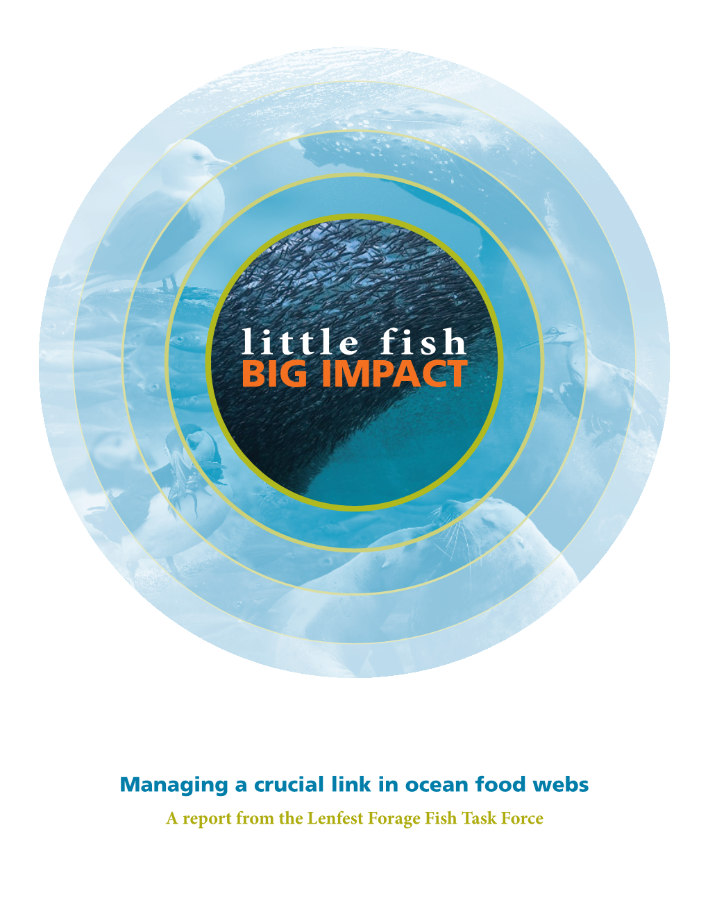 Little Fish, Big Impact: Managing a Crucial Link in Ocean Food Webs