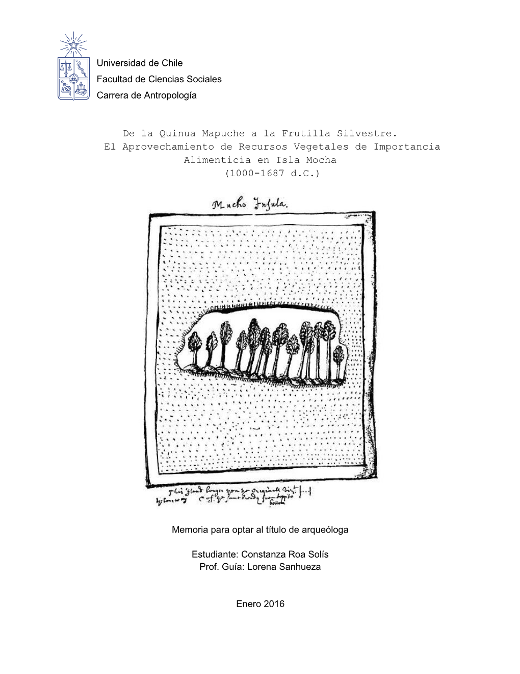 De La Quinua Mapuche a La Frutilla Silvestre.Pdf (5.860Mb)