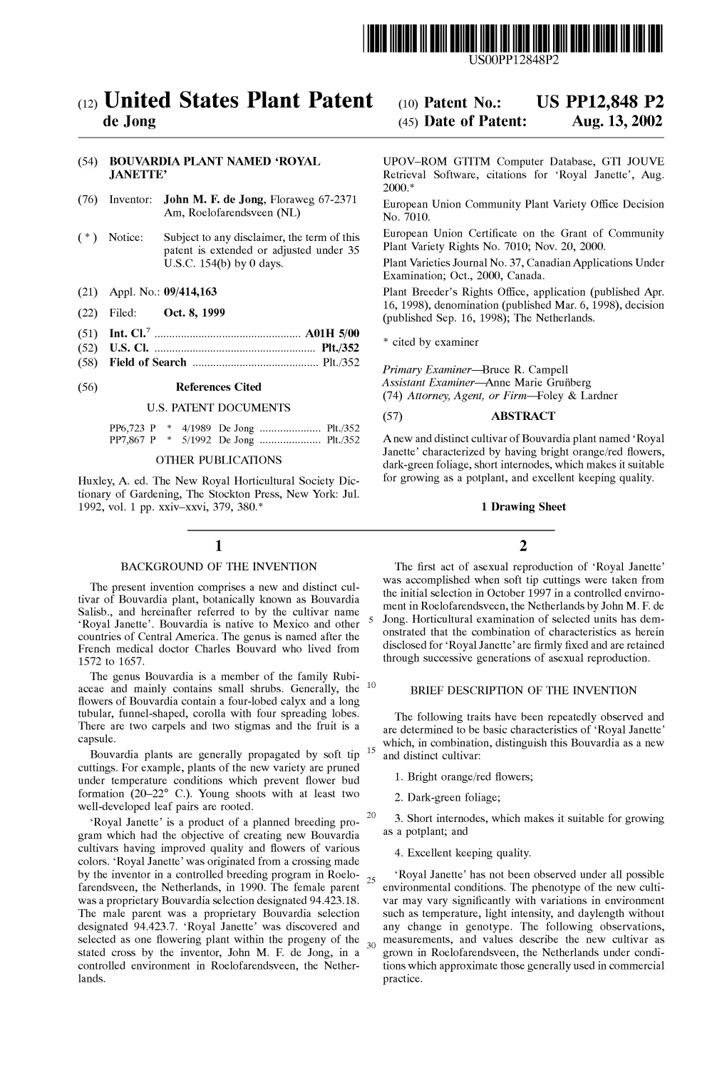 (12) United States Plant Patent (10) Patent No.: US PP12,848 P2 De Jong (45) Date of Patent: Aug