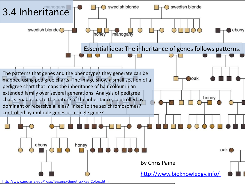 Pedigree Charts