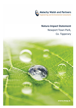 Natura Impact Statement Newport Town